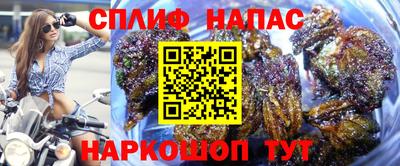 гашик Партизанск