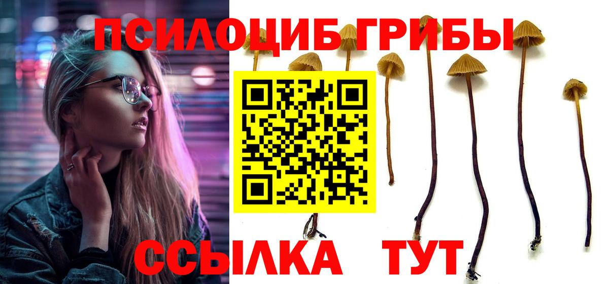 Петрозаводск  Галлюциногенные грибы Psilocybe  Псилоцибиновые грибы мицелий  Вход с VPN 